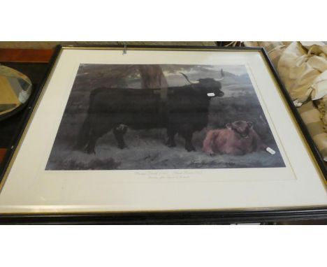 A Framed Limited Edition Print, Highland Cattle, 63cm Wide 
