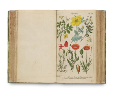 Botanik - - Christian Gottlieb Lorek. Zur Flora Prussica. Mit 222 (von 226) kolorierten Kupfertafeln. Königsberg, Gräfe u. Un