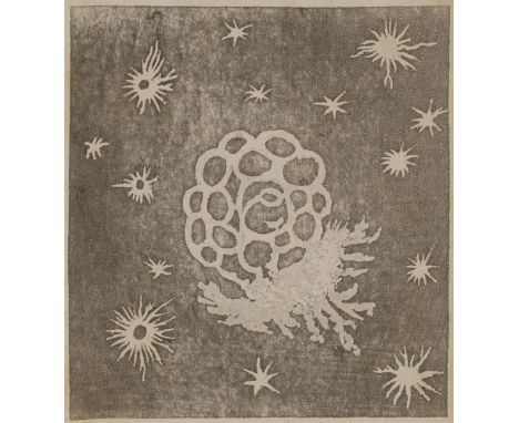Georg Christoph Lichtenberg. Vermischte Schriften nach dessen Tode aus dem hinterlassenen Papieren gesammelt und herausgegebe