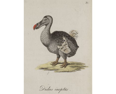 Zoologie - - Johann Friedrich Blumenbach. Abbildungen naturhistorischer Gegenstände. 10 Hefte in 1 Bd. Mit 100 teils kolorier