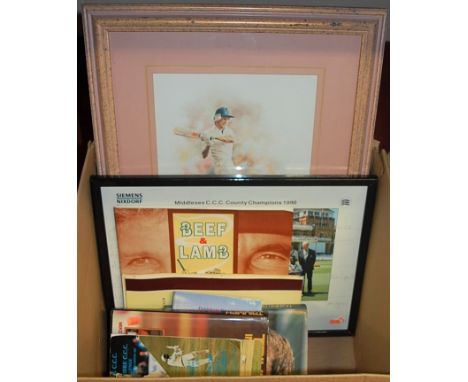 A box of Ian Botham related ephemera to include; limited edition print, photograph, books etc
