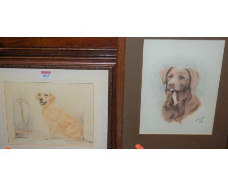 Gill Evans - A seated Golden Retriever, limited edition print, signed in pencil and numbered 195/850 lower right, 18.5 x 23.5