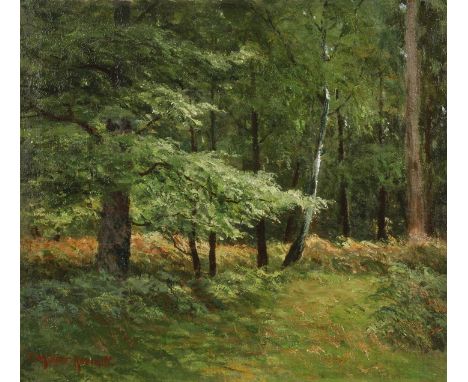 Prof. Paul Müller-Kaempff, Sonnige WaldlichtungLaubbäume am sommerlichen Waldrand, im hellen Sonnenlicht, pastose, impression