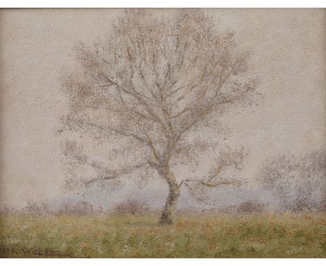 Otto Karl Welbers, "Alte Pappel"einsamer Baum in weiter Landschaft, im Licht des beginnenden Tages, pastelltonige Landschafts