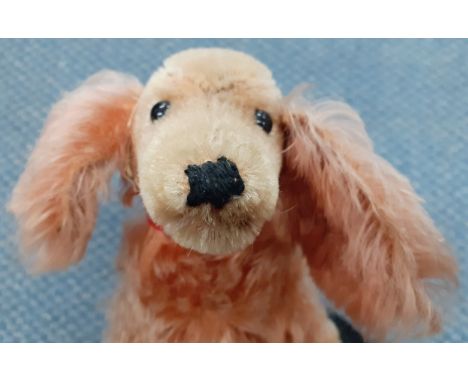 Steiff-A 1960's Waldi dachshund with red collar having no label to the ear. 
