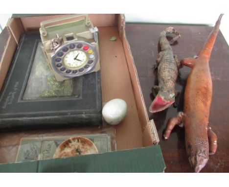 Taxidermy baby crocodile and lizard, a French souvenir postcard from Boulogne, and other items including boxed junior patent 