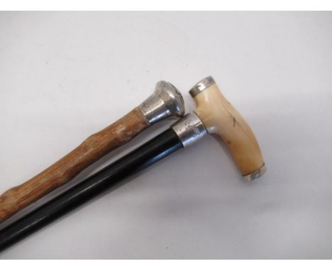 Late Victorian evening cane ebonized shaft, ivory handle with silver terminals and collar 1887 and a souvenir Jersey cabbage 