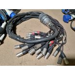 Socapex socket to 24 male xlr cables and 8 female xlr cables