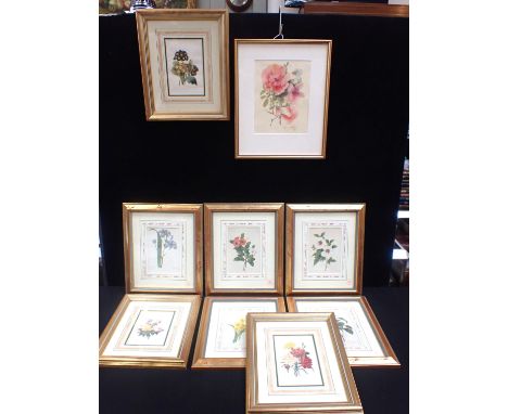 A SET OF EIGHT BRITISH MUSEUM BOTANICAL PRINTSgilt frames and a flora print by Wyn Hooper (9)