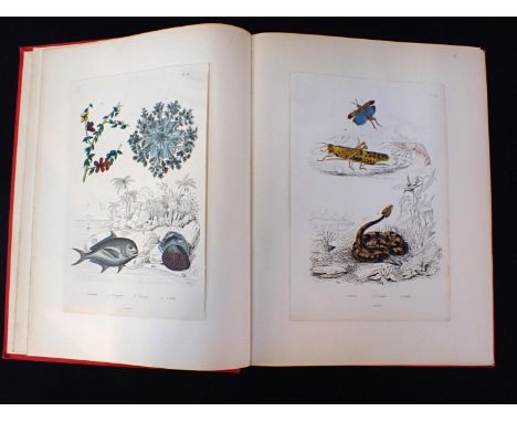 A 19th CENTURY SCRAP BOOK CONTAINING OLD ENGRAVINGSbotanical, natural history, topographical, a Whaling scene, painted Persia