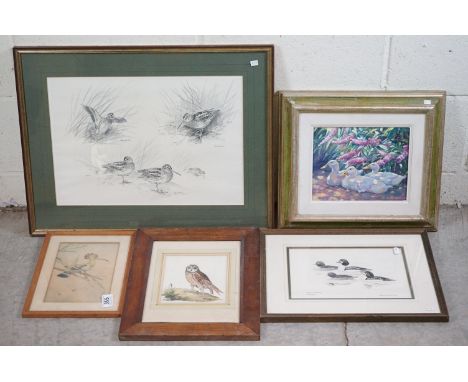 Collection of Five Bird Pictures including Oil Painting of Ducks amongst Flowers signed Stevenson 24cm x 19cm together with R