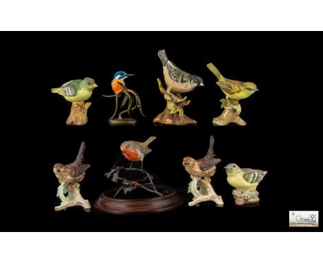 A Collection of Ceramic Bird Figures 8 in total of various heights and sizes, comprising of crown Staffordshire fine bone chi