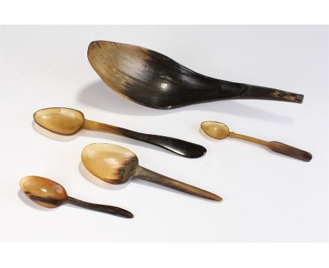Collection of horn spoons, 19th Century, to include a dessert spoon, a table spoon and two larger spoons, also with a large h