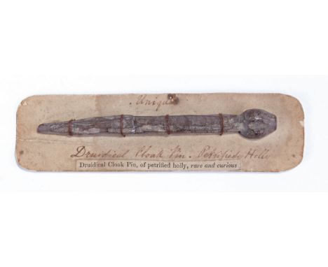 Unusual Druidical cloak pin made of petrified holly, applied to a card backing with text below, the pin 11.5cm long
