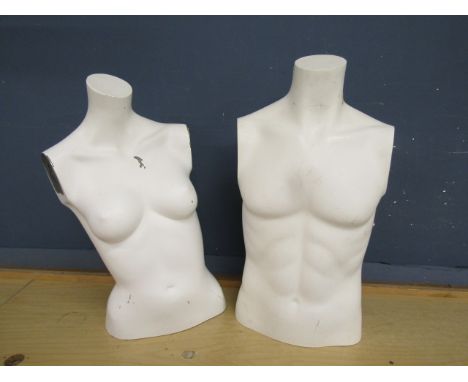 Male and female mannequin torso's