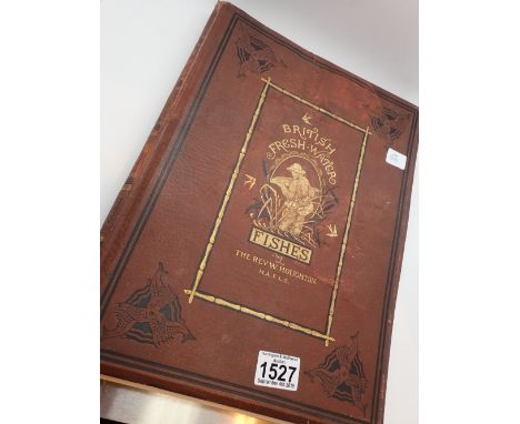 First edition 1879 volume one British Fresh Water Fishes by Rev H Hougthon with coloured plate