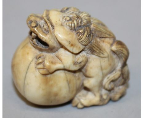 A JAPANESE IVORY NETSUKE OF A KARASHISHI, leaning forward on a large ball, 1.25ins high.
