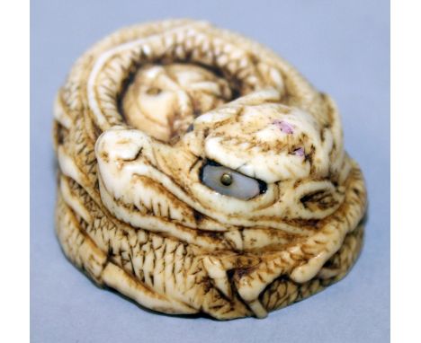 A JAPANESE IVORY NETSUKE OF A COILED DRAGON, the eyes formed from inlaid mother-of-pearl, 1.6in wide at widest point.