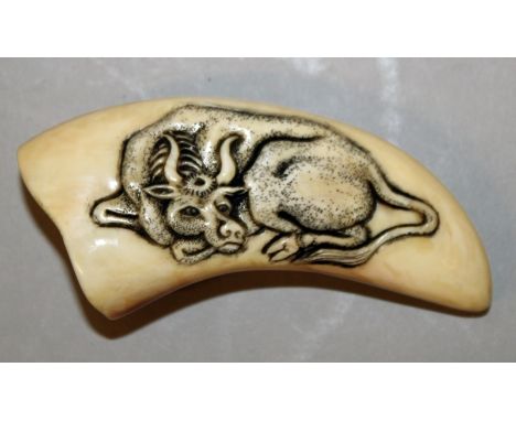 A 19TH/20TH CENTURY OWAMI SCHOOL TOOTH NETSUKE, one side carved with a recumbent water buffalo, the details stained in black,