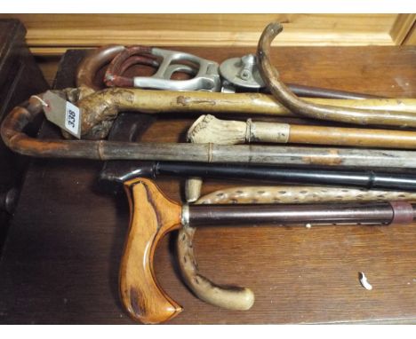 Assorted walking sticks and a shooting stick 