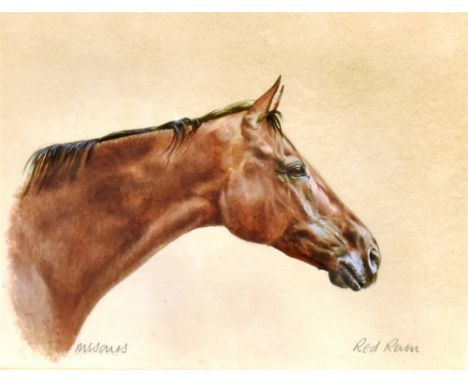 M S JONES 'Red Rum' - a head study, watercolour, signed and titled, 18.5 x 24.5cm