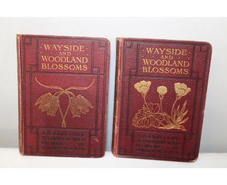 Botanical Interest :Wayside &amp; Woodland Blossoms. Series I &amp; II by Edward Step F.L.S with 127 coloured plates by Mabel