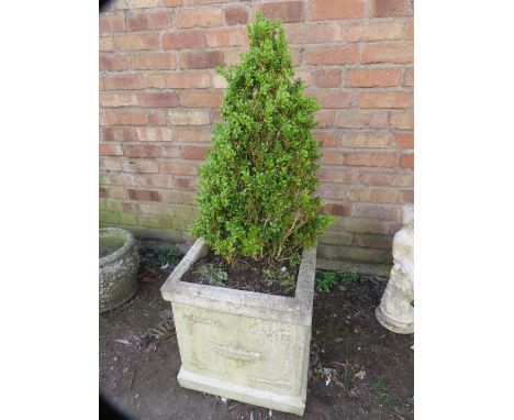 A large heavy concrete planter and tree