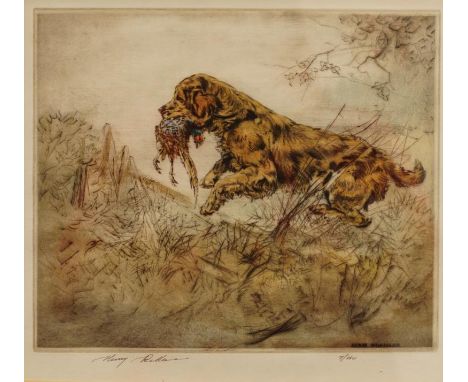 Henry Wilkinson (1921-2011). Hunting dogs stalking or collecting game birds, limited edition coloured etchings, signed in pen