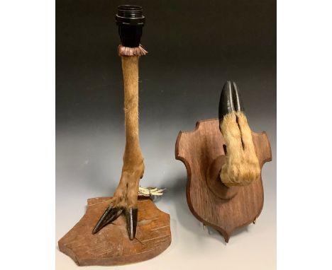 Taxidermy - a deer hoof lamp base, 43cm high; a similar hoof coat/hat hook, mahogany shield mount (2) 