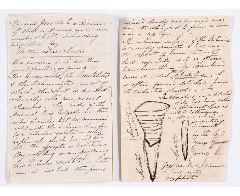 Geology.- [Geology notes], including a note from Gould to Drury, 14pp., pen and ink drawing, slightly browned, loose and inco
