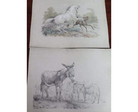 A pair of well executed unmounted pencil drawings with highlights of horses and Donkeys signed W R Carter - 56 cm x 44 cm 
