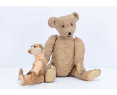 An early American teddy bear,  with remains of apricot mohair, orange and black glass eyes, pronounced muzzle, black stitched