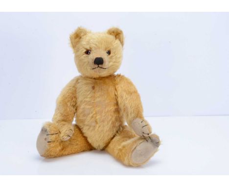 A 1930s Farnell teddy bear,  with golden mohair, orange and black glass eyes, pronounced muzzle, black stitched nose, mouth a