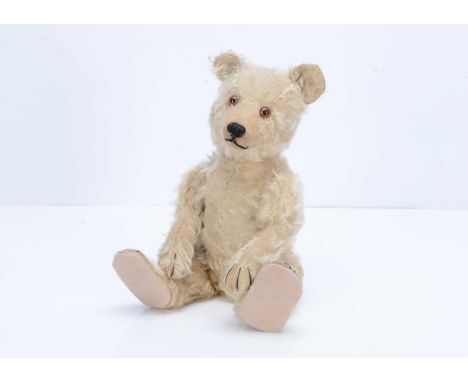 A rare 1929 -1931 Steiff Teddy Baby with closed mouth, blonde mohair, clear and black glass eyes with painted brown backs, bl
