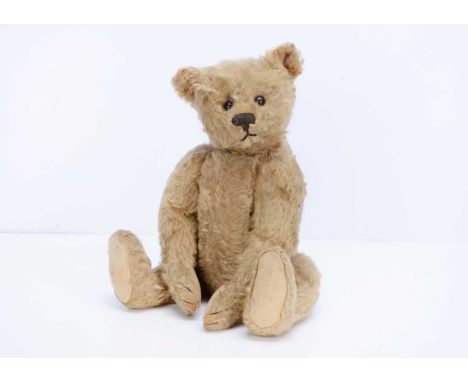 An early  Steiff teddy bear, circa 1909,   with golden mohair, black boot button eyes, pronounced clipped muzzle, black stitc