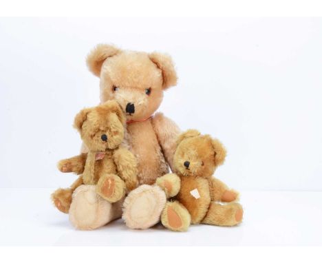 Three Alpha Farnell teddy bears,  a small golden bear with orange and black plastic eyes, black stitched nose and mouth, swiv