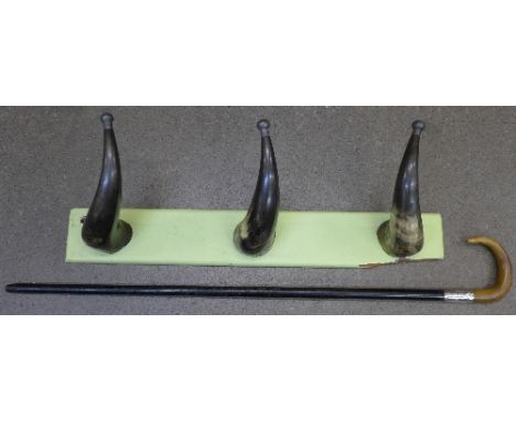 A horn coat rack and a horn handled walking stick with silver collar