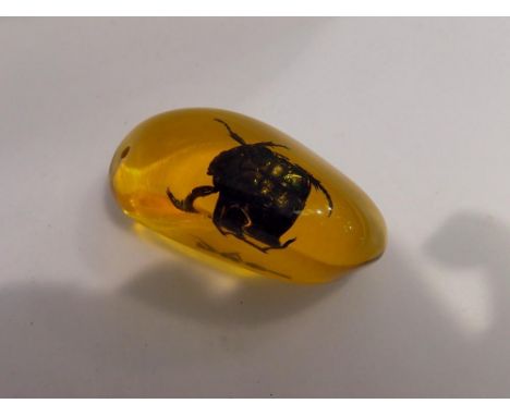 Green Beetle preserved in amber resin. UK P&amp;P Group 1 (£16+VAT for the first lot and £2+VAT for subsequent lots) 