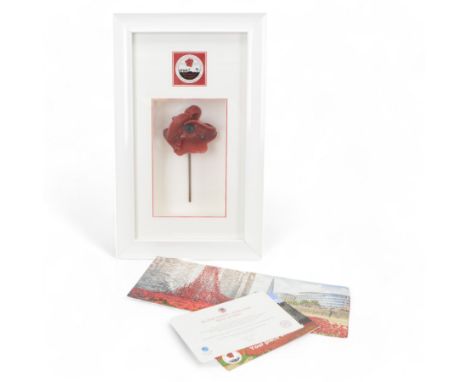 Paul Cummins (b 1977) ceramic poppy, framed from the poppy art installation 'Blood Swept Lands and Seas of Red' at the tower 