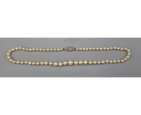 A graduated pearl necklace with white metal diamond set clasp, 49cms long 