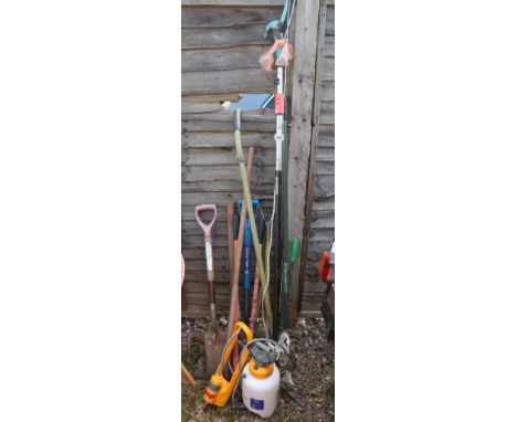 Collection of garden tools