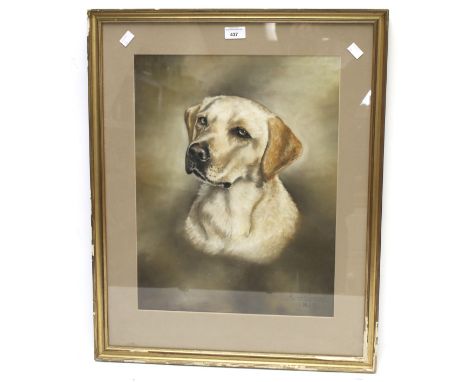A 20th century portrait of a dog. Signed and dated 'Roger Jowless 85', 38cm x 49.5cm, framed and glazed
