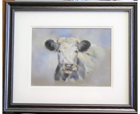 Joanna Miln pastel portrait of a Shorthorn Cow. Signed 'J Miln', 22cm x 29.5cm, framed and glazed