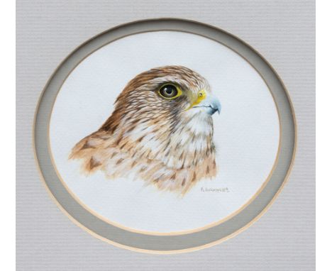 Kevin Hickman (Guernsey, b.1957), Portrait of a Buzzard oval watercolour, signed and dated '89 4¾ x 5½in. (12.1 x 14cm.) 