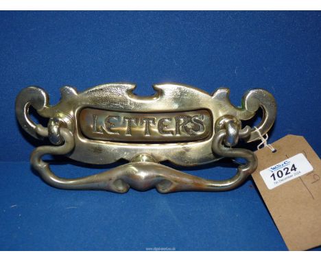 A brass letter box/door knocker.