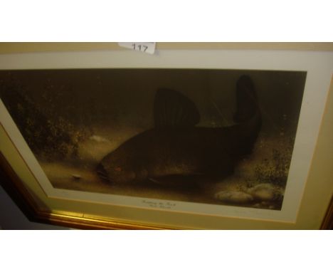 Ltd Edition sign & endorsed print Tempting The Tench 444 /500 by Sheila Tilmouth 29 cms x 43 cms F&G Fishing Interest 