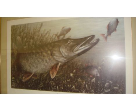 Ltd Edition sign & endorsed print Pike Strikes by Sheila Tilmouth 187 /500 F&G 34 cms x 54 cms Fishing Interest 