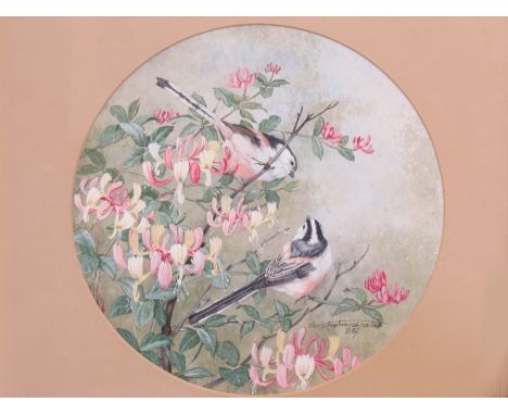 CHRISTOPHER SCALES (XX) : Long-tailed Tits in Honeysuckle, watercolour dated 1987. 23cm diameter