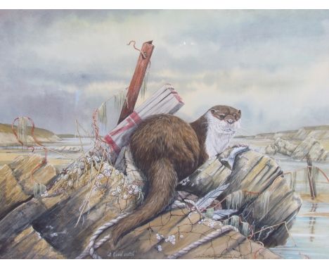 CHRISTOPHER SCALES (XX) : "A Good Catch".  Framed and glazed watercolour of an otter.  Signed and dated '92.  39.5cm x 52cm 