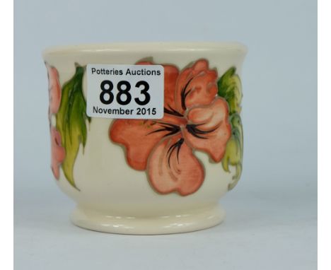 Moorcroft small planter decorated in the hibiscus design, height 9cm